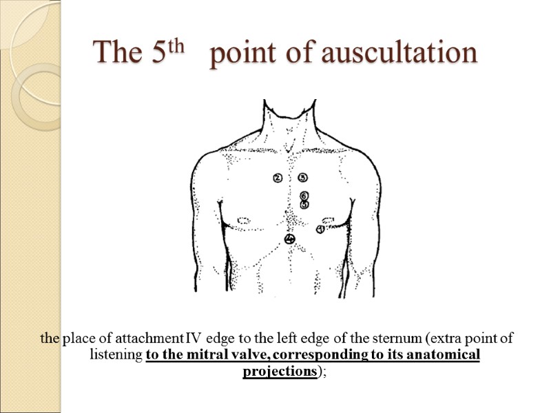 The 5th   point of auscultation the place of attachment IV edge to